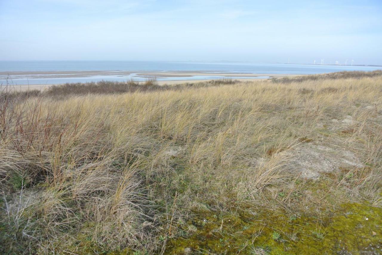 B&B Veers Buuten Veere Bagian luar foto